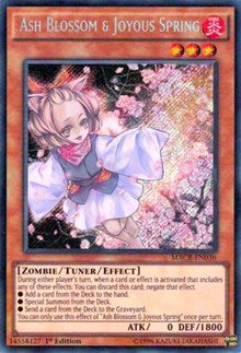 Ash Blossom &amp; Joyous Spring [MACR-EN036] Secret Rare
